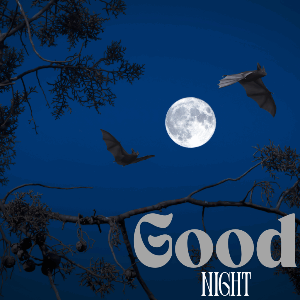 Good Night Images