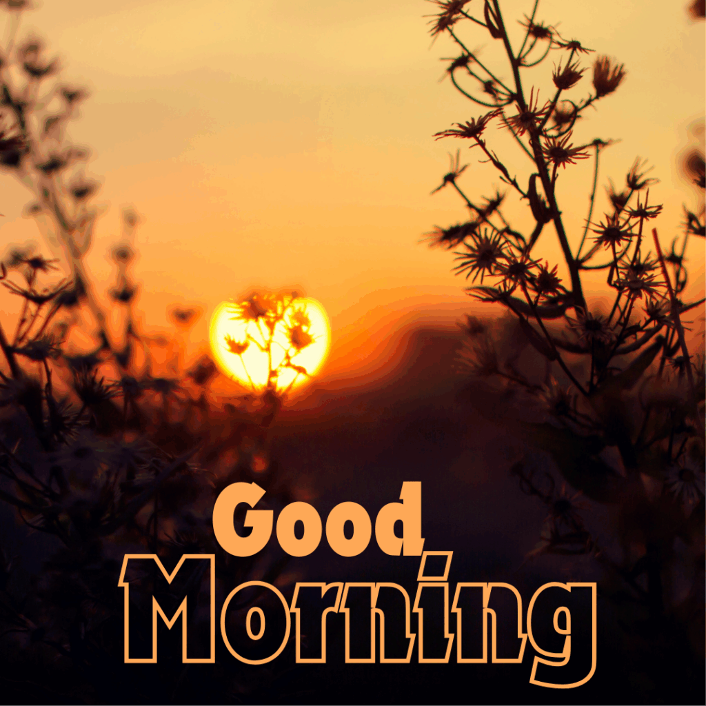 Good Morning Images