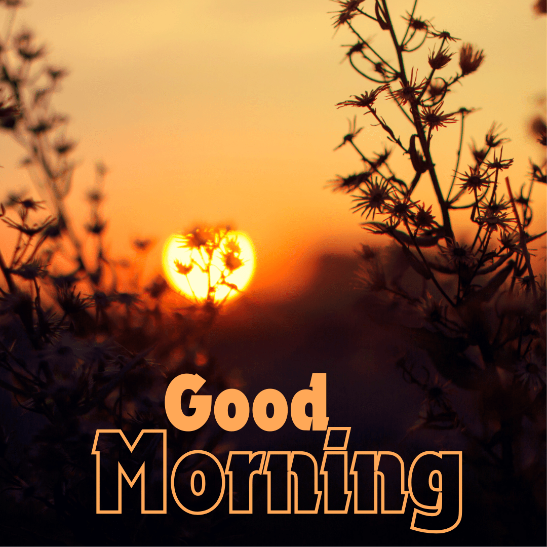 Good Morning Images