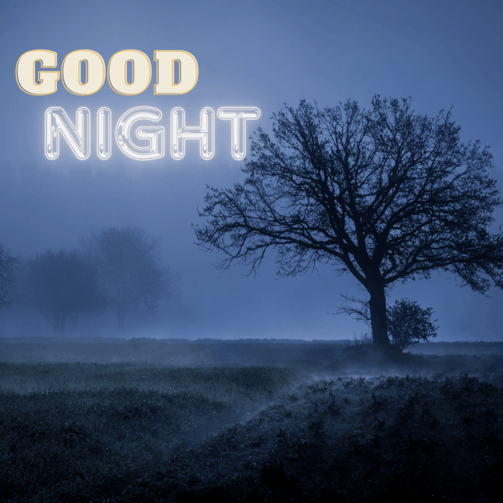 Good Night Images